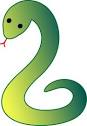 pest control in Halifax, NS
